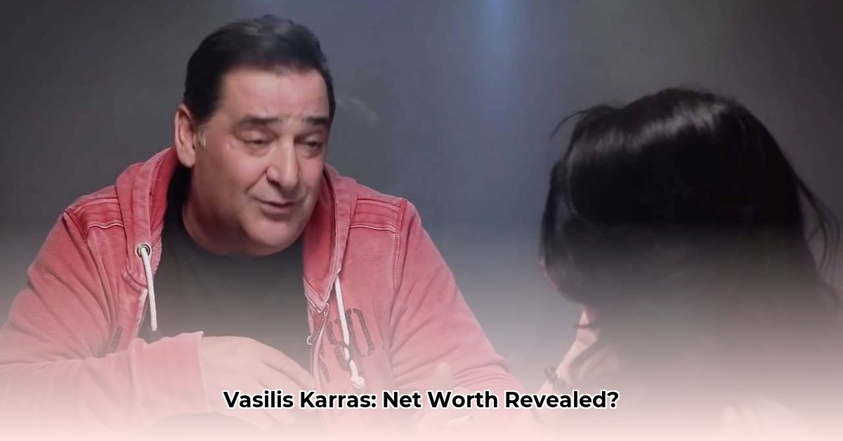 vasilis-karras-net-worth
